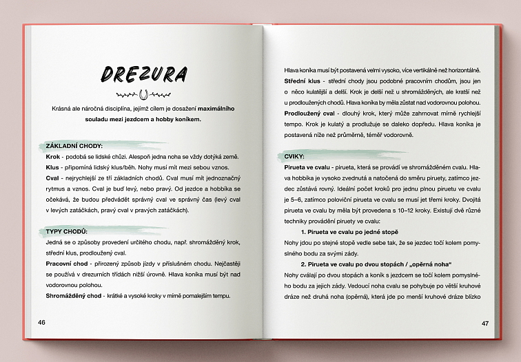 Český Hobby Horsing