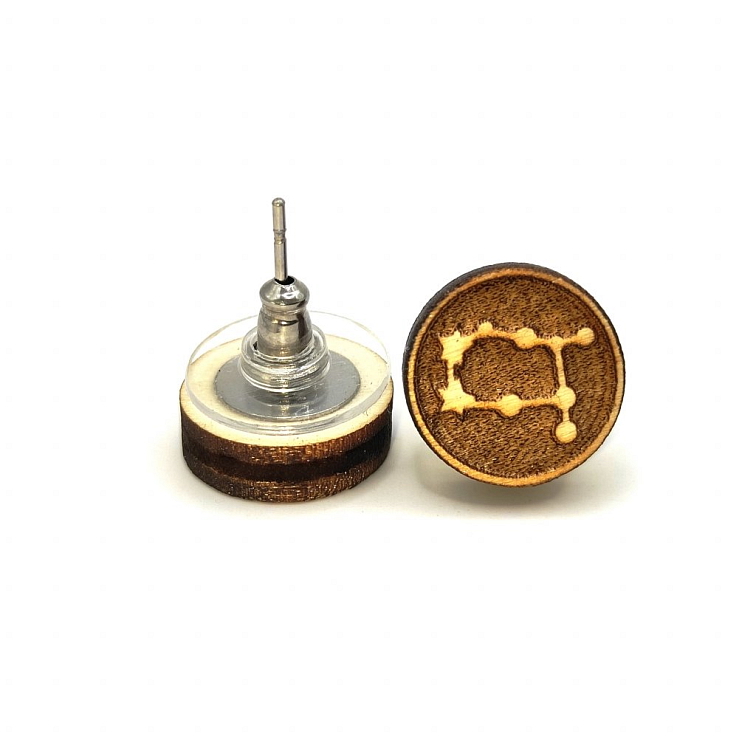 Náušnice souhvězdí BLÍŽENCI