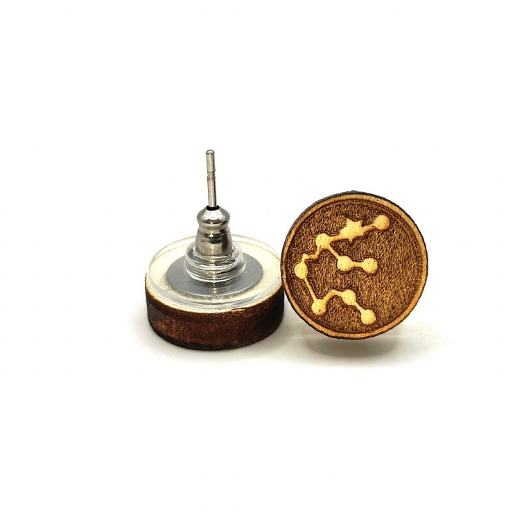 Náušnice souhvězdí VODNÁŘ