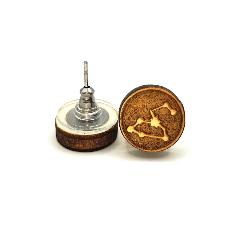 Náušnice souhvězdí LEV