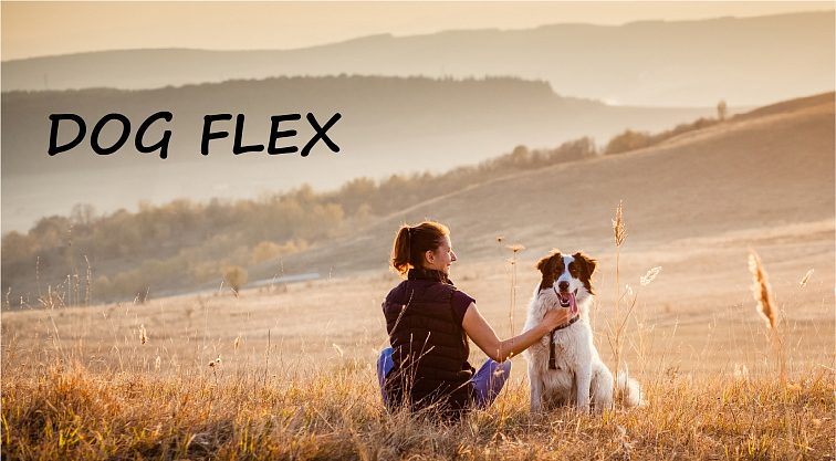 Perfect Equi DOG FLEX