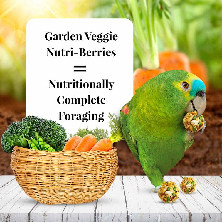 Garden Veggie Nutri-Berries Parrot