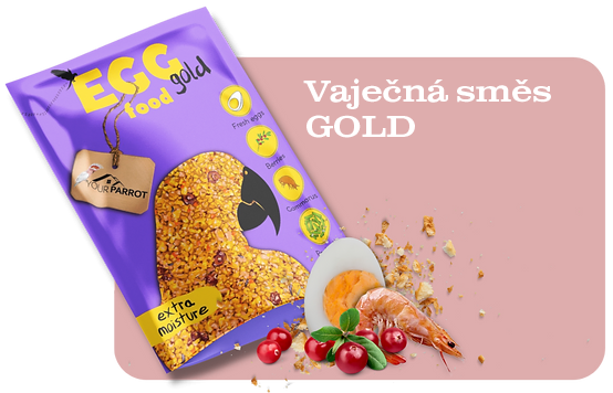 Your Parrot Egg Food Gold