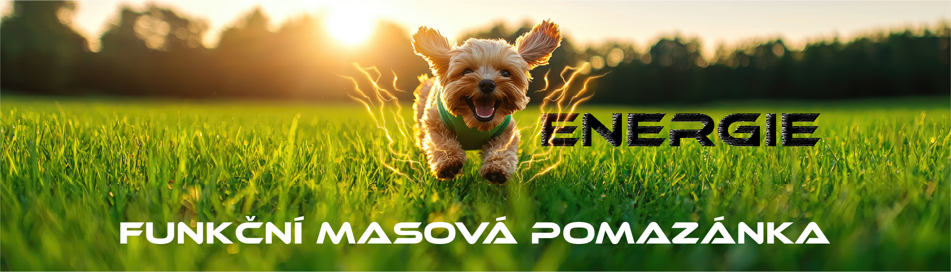 Funkční pomazánka z kachny - ENERGIE