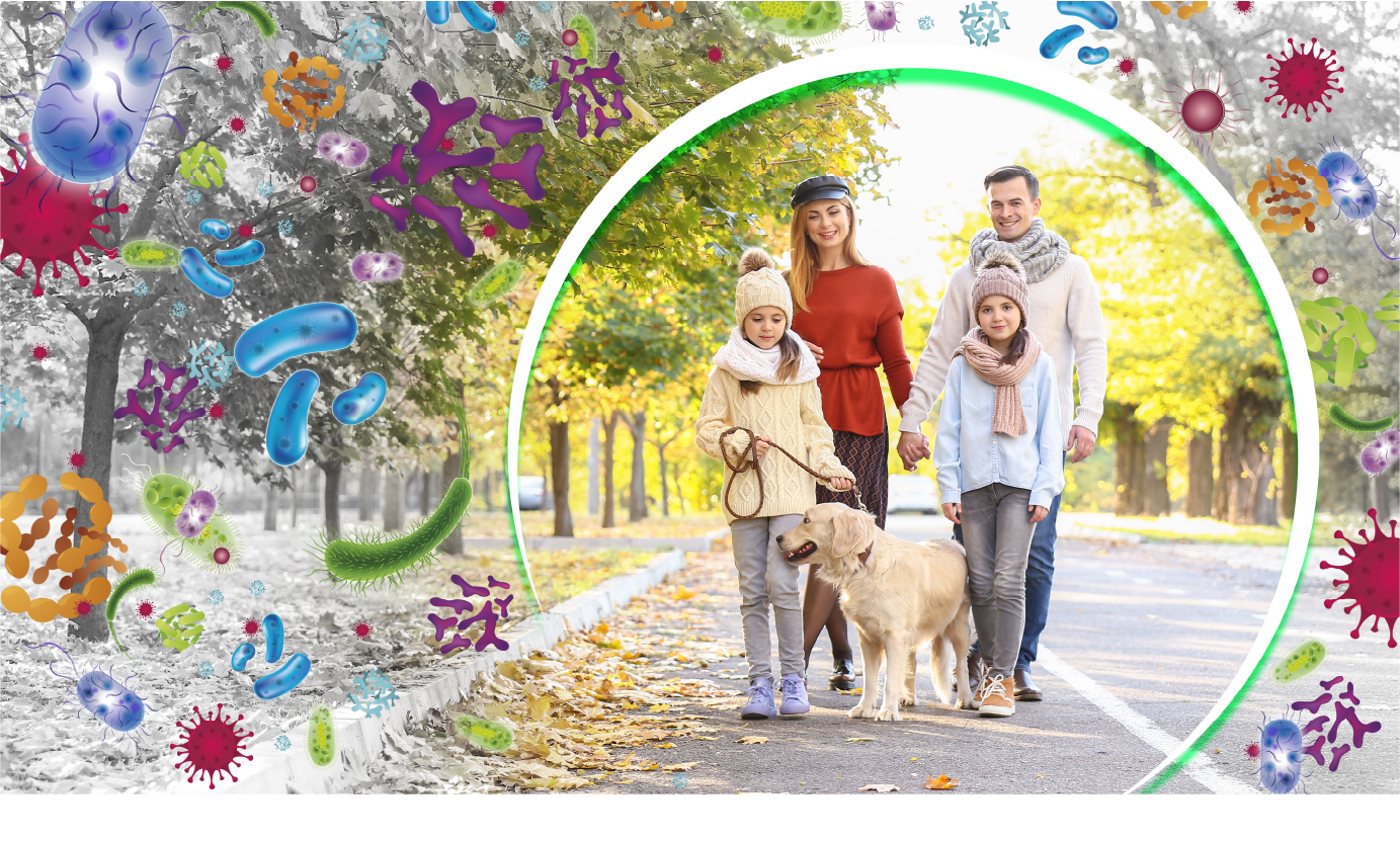 Perfect Equi DOG CARE