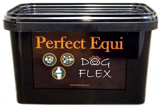 Perfect Equi DOG FLEX