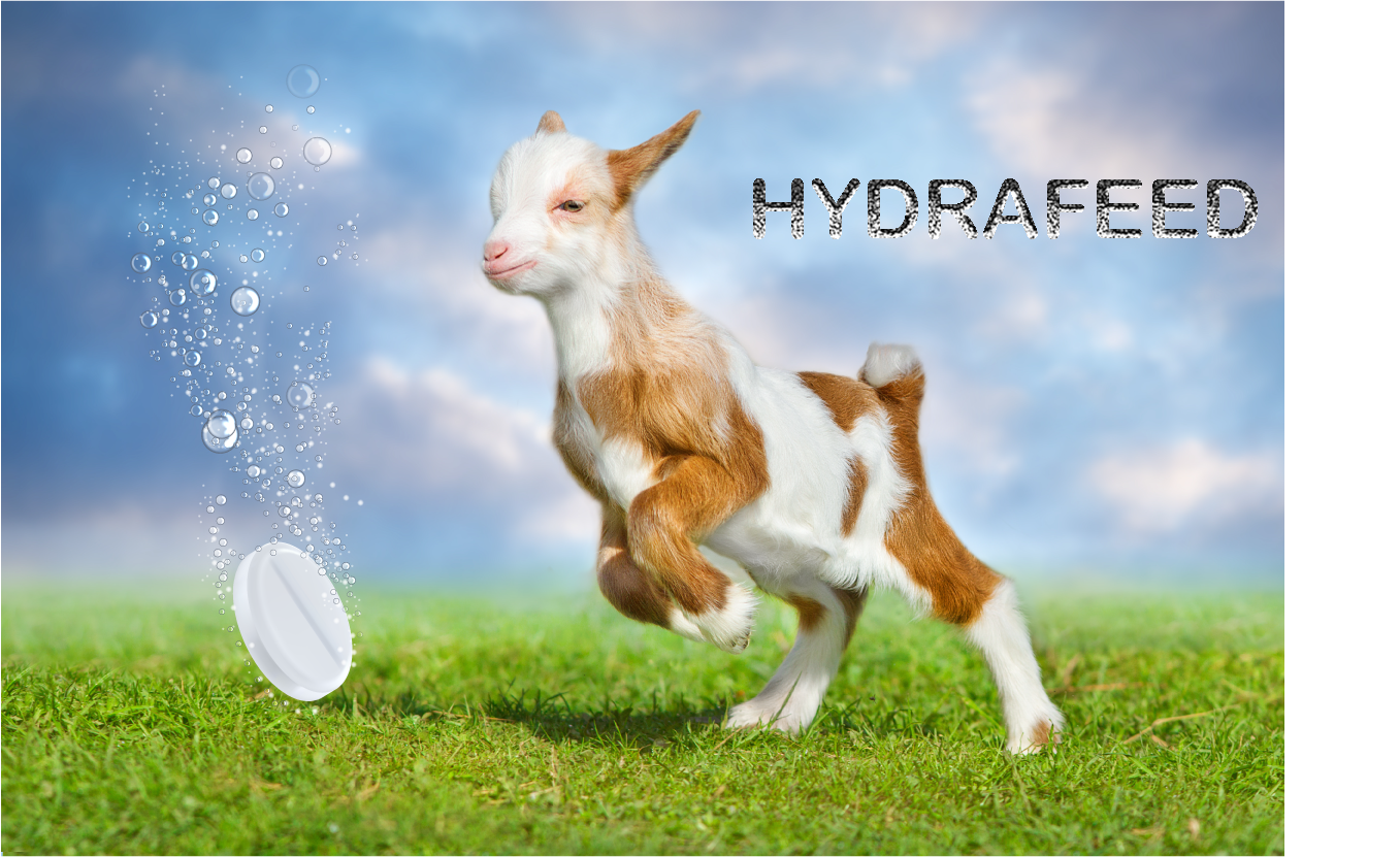 Hydrafeed (K)