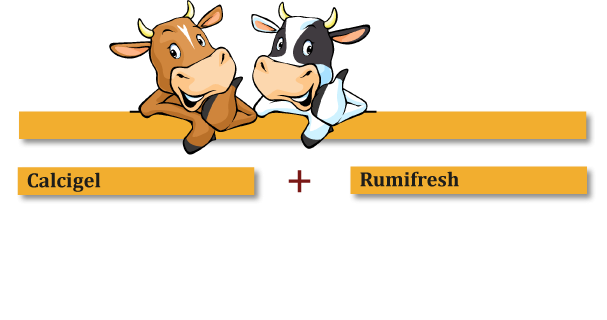 Rumifresh