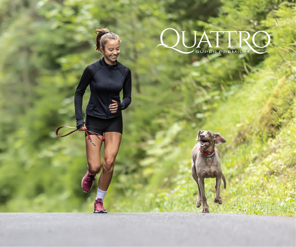 Quattro Adult AB Sport s extra drůbežím masem