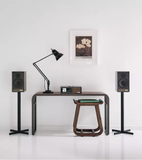 Ruark Audio R610