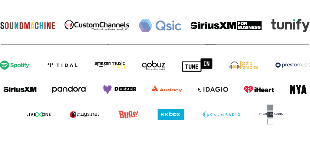 Bluesound Professional BSP1000