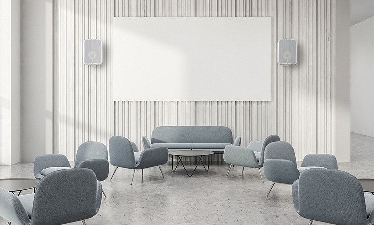 Bluesound Professional BSP1000