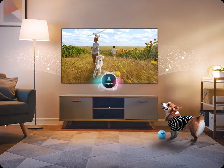 65" Samsung QE65QN85F