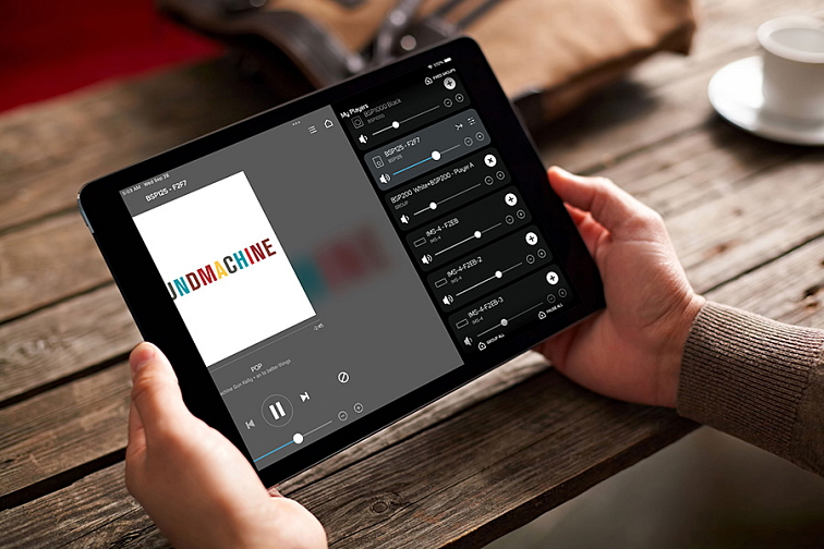 Bluesound Professional BSP125