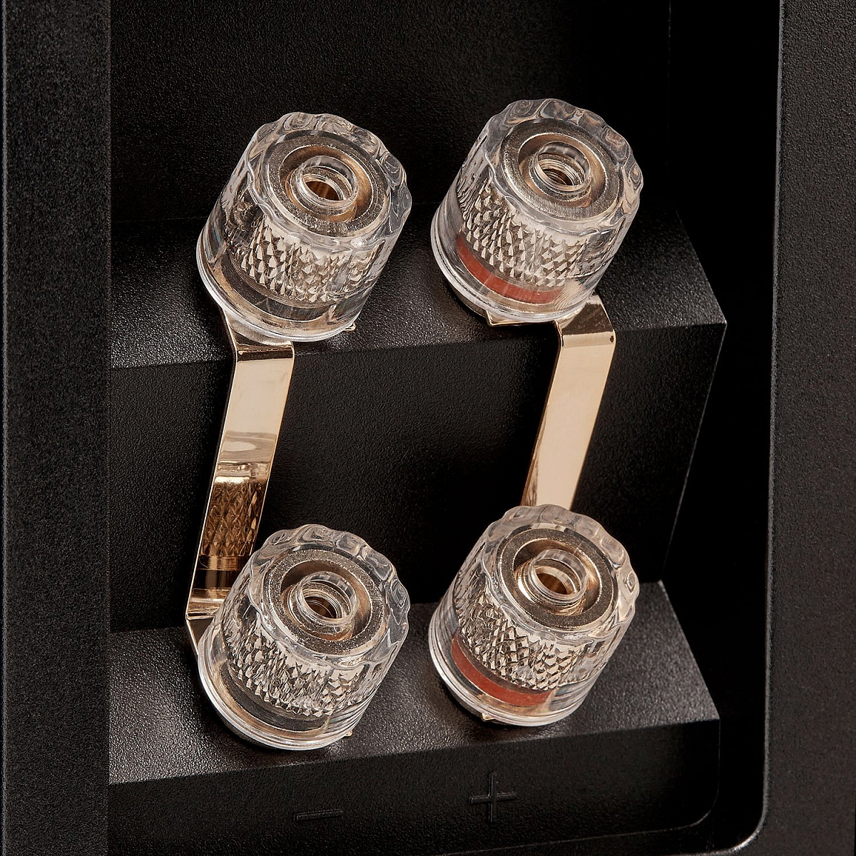 FYNE Audio F501E