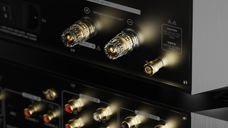 EverSolo AMP-F10