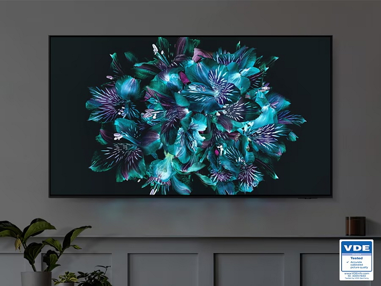 65" Samsung QE65S95D