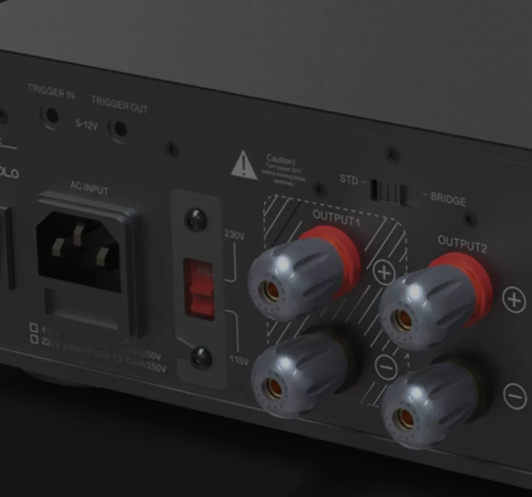 EverSolo AMP-F2