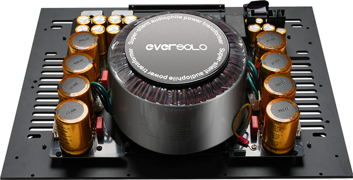 EverSolo AMP-F10