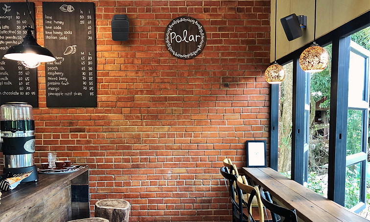 Bluesound Professional BSP200