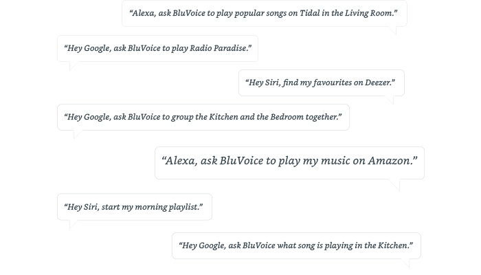 Bluesound Pulse Flex 2i