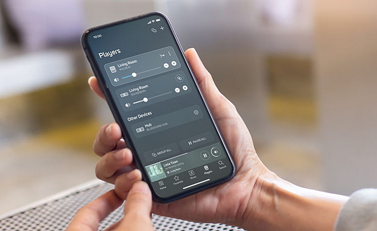 Bluesound Professional BCS300