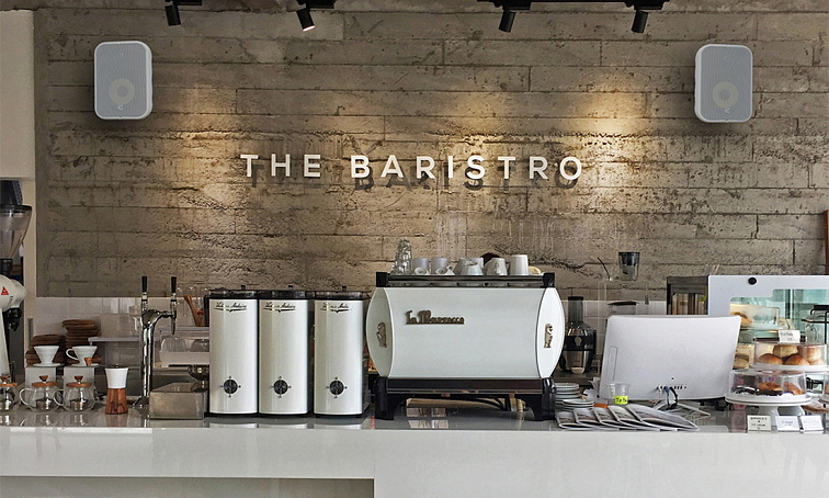 Bluesound Professional BSP500