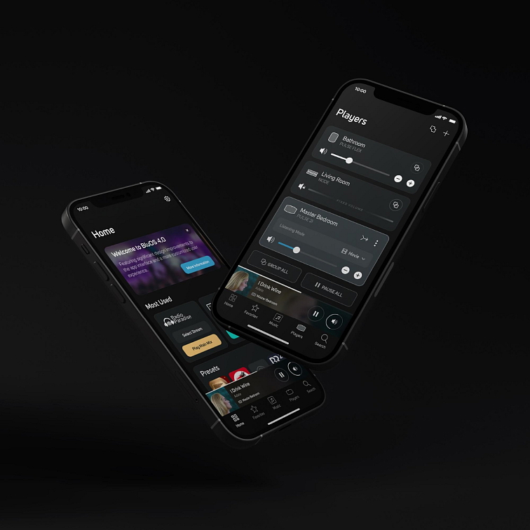 Bluesound POWERNODE 4