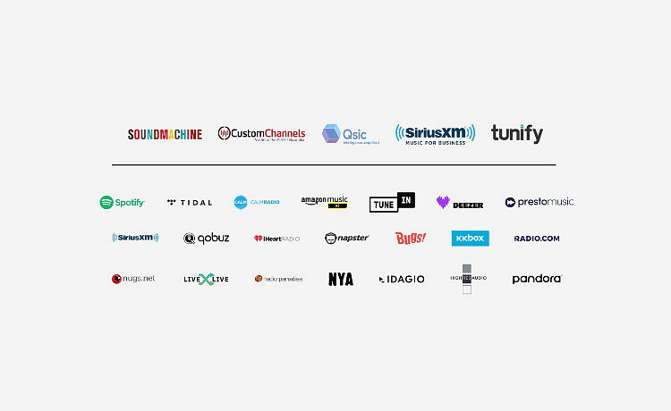 Bluesound Professional BCS300