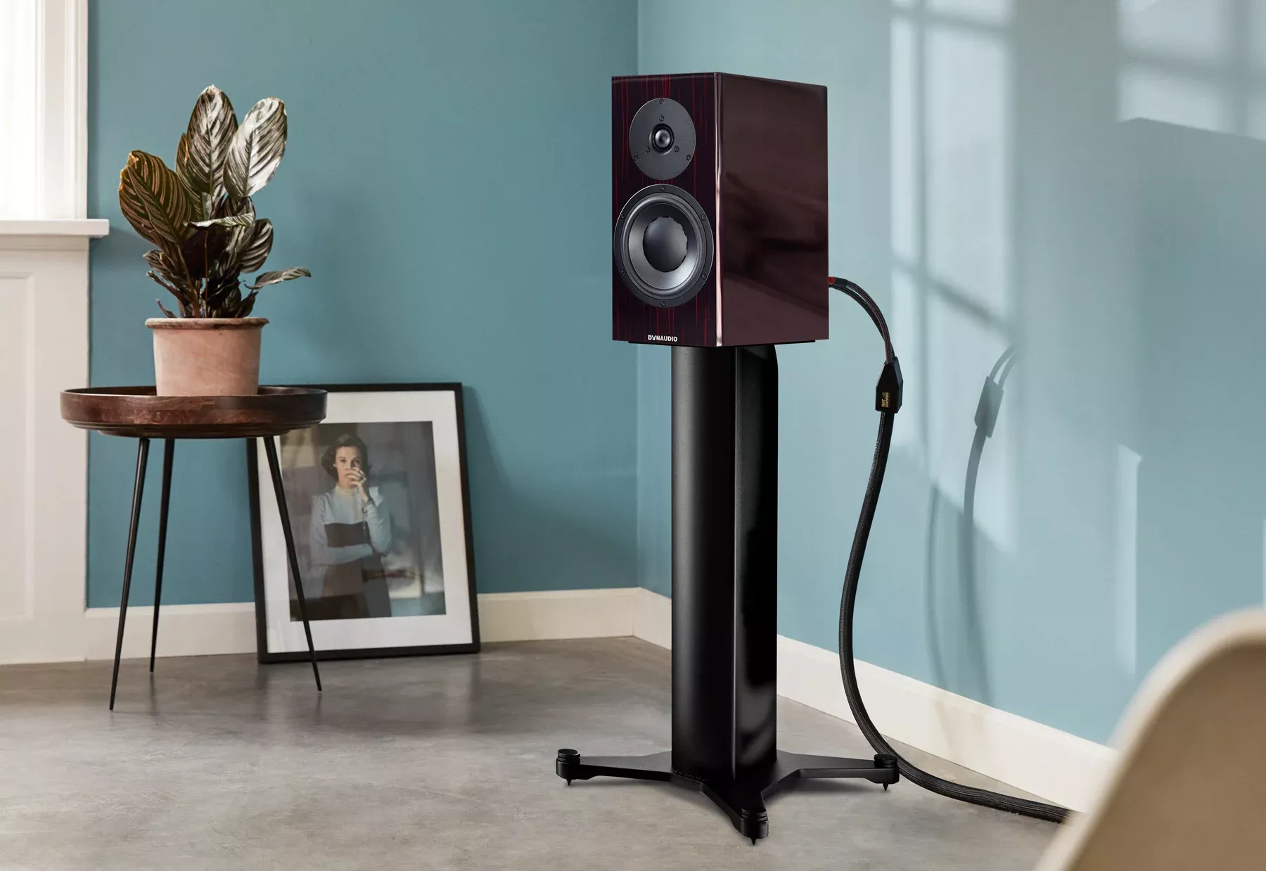 Dynaudio Stand 20