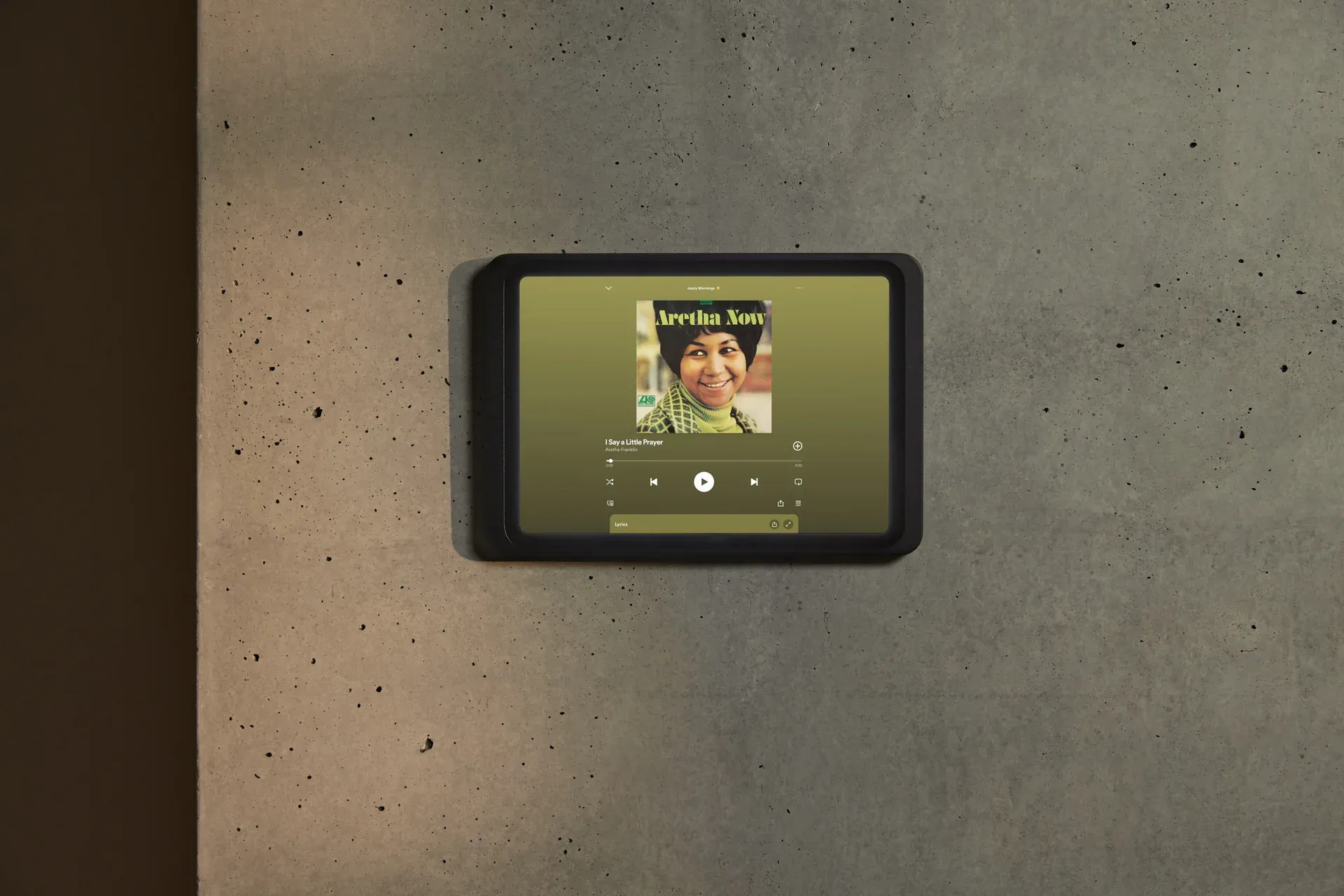 Displine Dame Wall 2.0