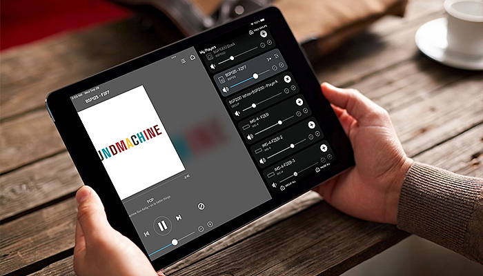 Bluesound Professional BSP200