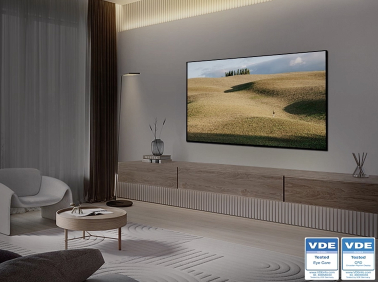 65" Samsung QE65S95D