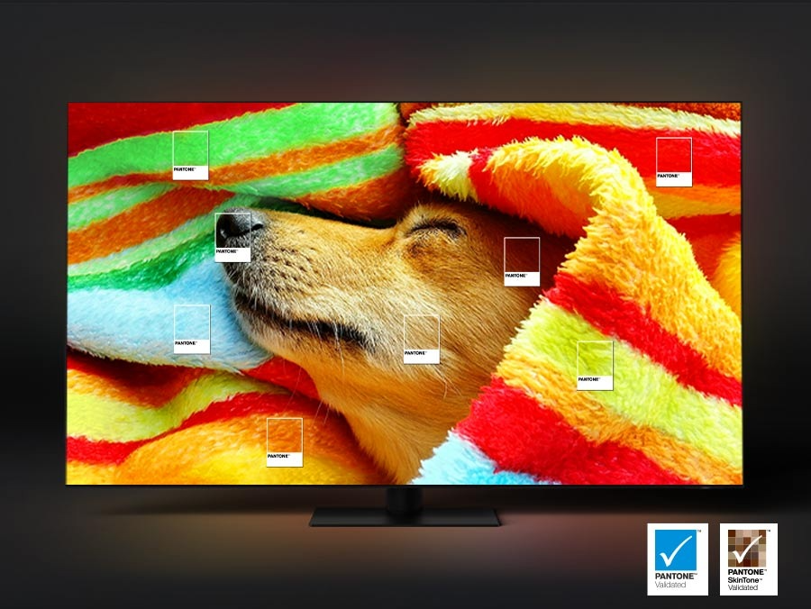 65" Samsung QE65QN800D