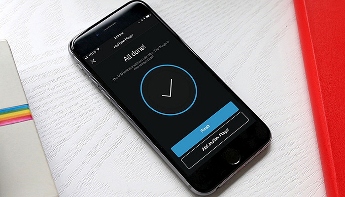 Bluesound Professional BSW150