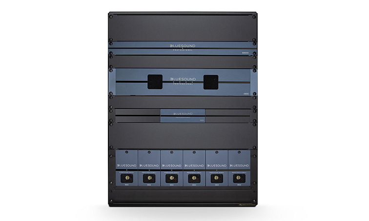 Bluesound Professional BSP125