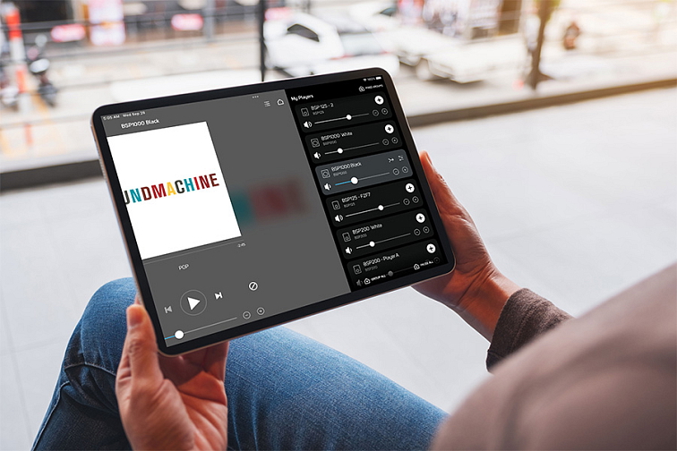 Bluesound Professional BSP1000