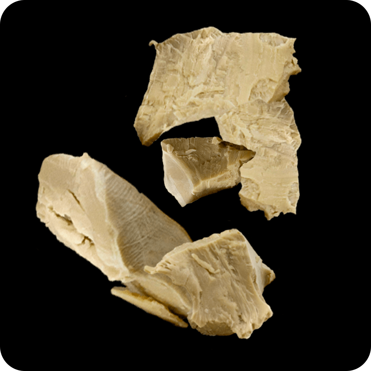 ZINOK 25 + SELÉN 100 BIOACTIVE MINERALS