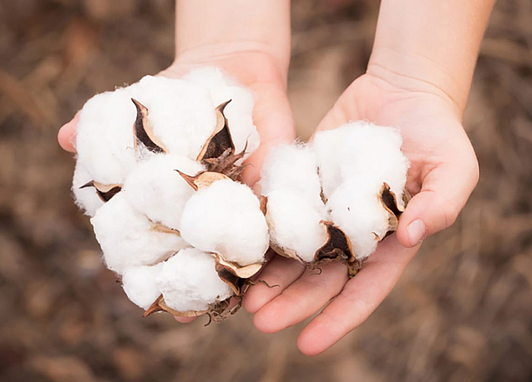 Dětské pleny Moony Natural