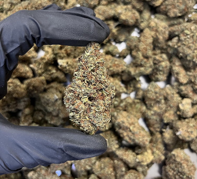 THCP květy London Pound Cake – 7 % THC-P, 10 % HHC & 0,61 % THC