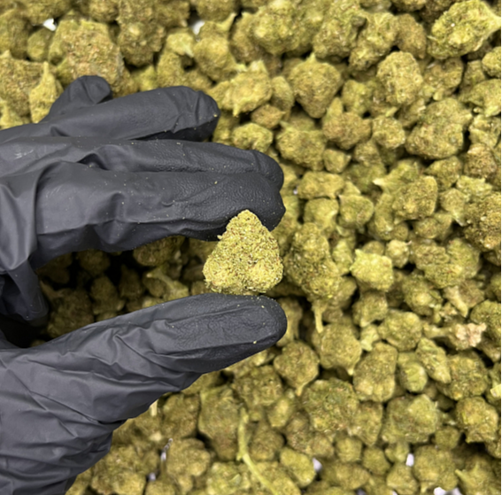 THCB květy White Wookie 10 g - THCB: 30 %, CBD: 8,15 %, THC: 0,12 %