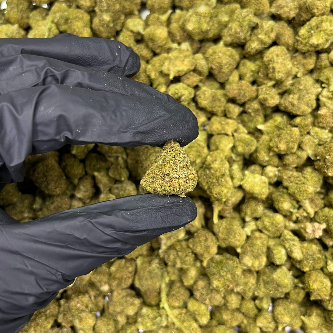 THCPO květy White Wookie - THCPO: 10 %, CBD: 8,15 %, THC: 0,12 %