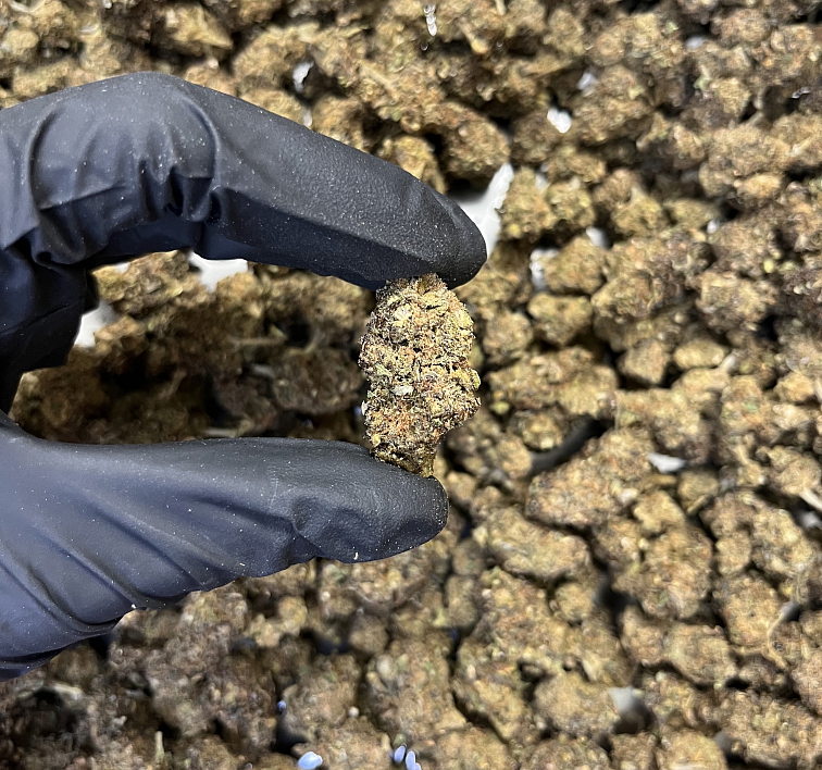 CBD květy Purple - CBD: 15,82 % THC: 0,64 % , CBC: 0,82%