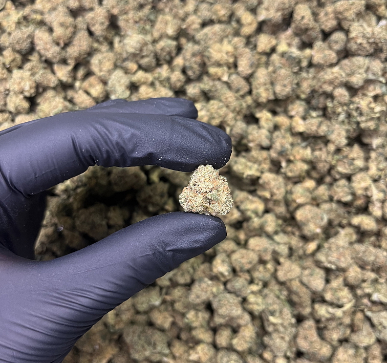 THC-JD květy Banana Runtz - Popcorn 10 g - THCJD: 15%, THCB: 15%, THC: 0,48%