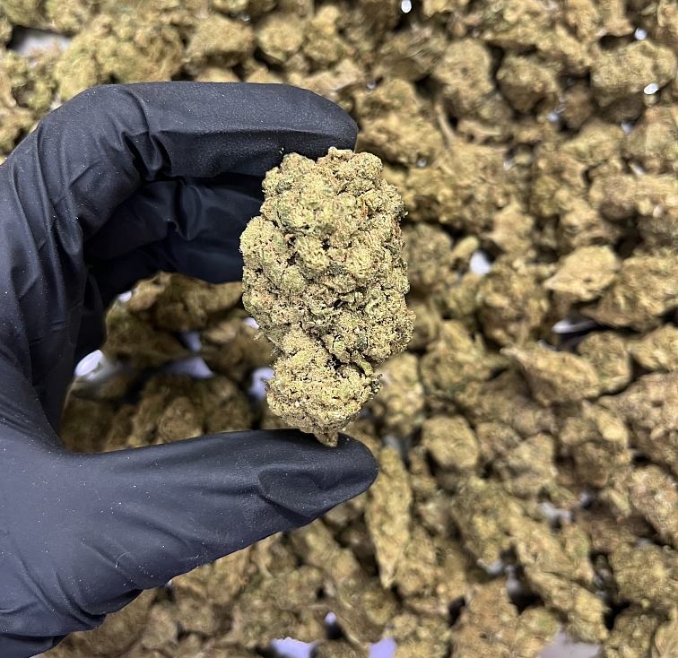 HHC květy Lemon Muffin - HHC: 30%, CBD: 14,9 % THC: 0,64 %