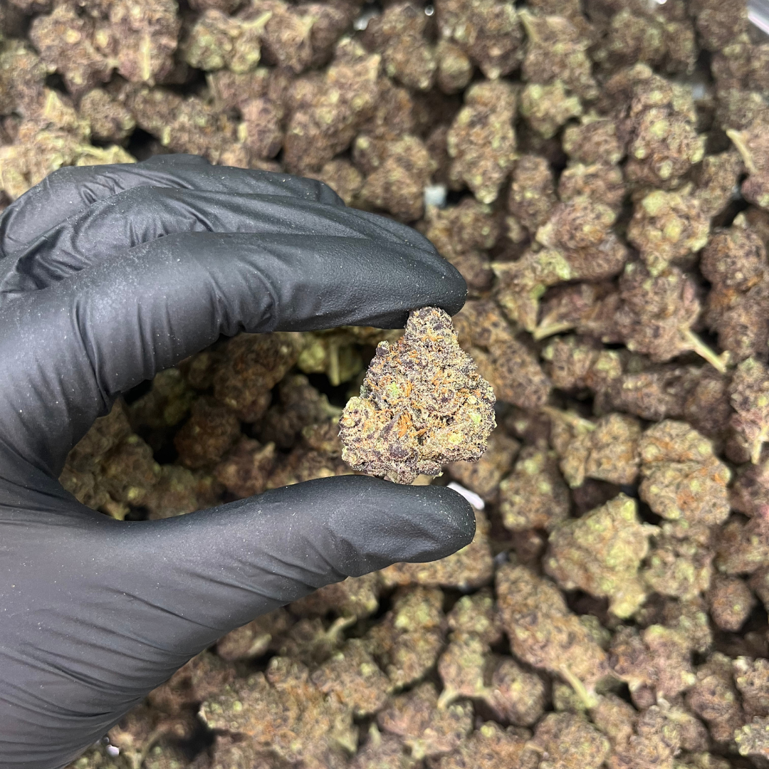 THCB květy Purple Diesel