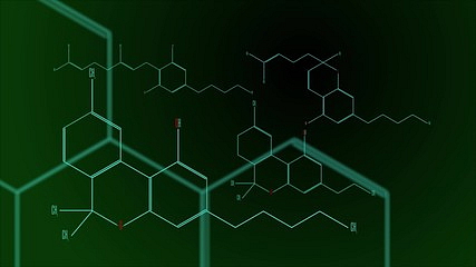 Vonná tyčinka THCPO Pineapple Express 1,5g