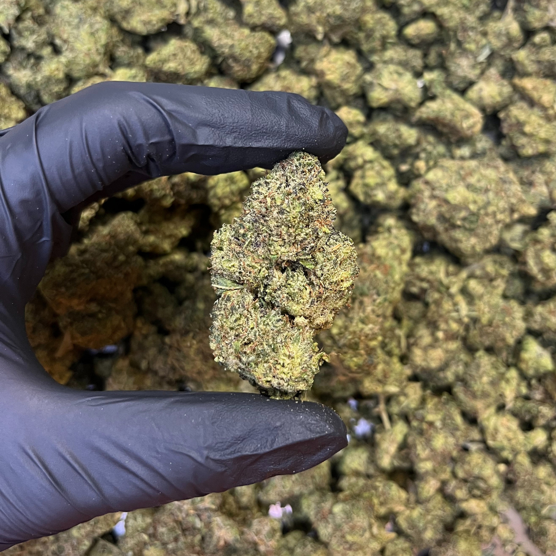 THC-P květy Lemon Cherry gelato - THCP: 7% , CBD: 14,6%, THC: 0,68%