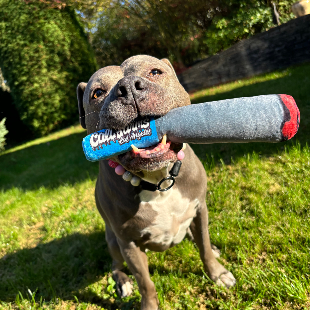 Plyšová hračka JOINT pro psy - pískací