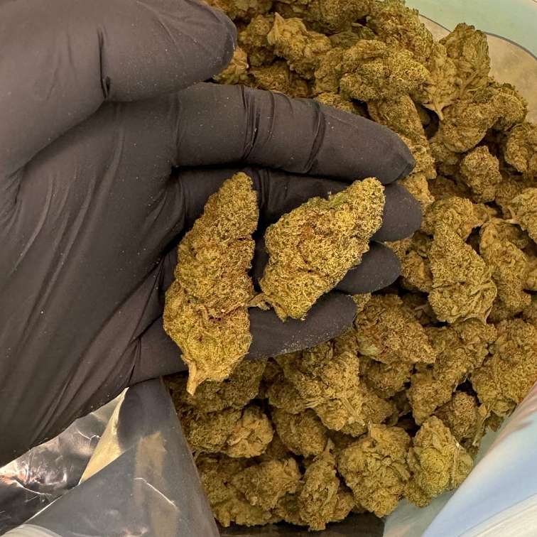 THCB květy Tropicanna Cookies - THCB: 30%, CBD: 19,1%, THC: 0,76%